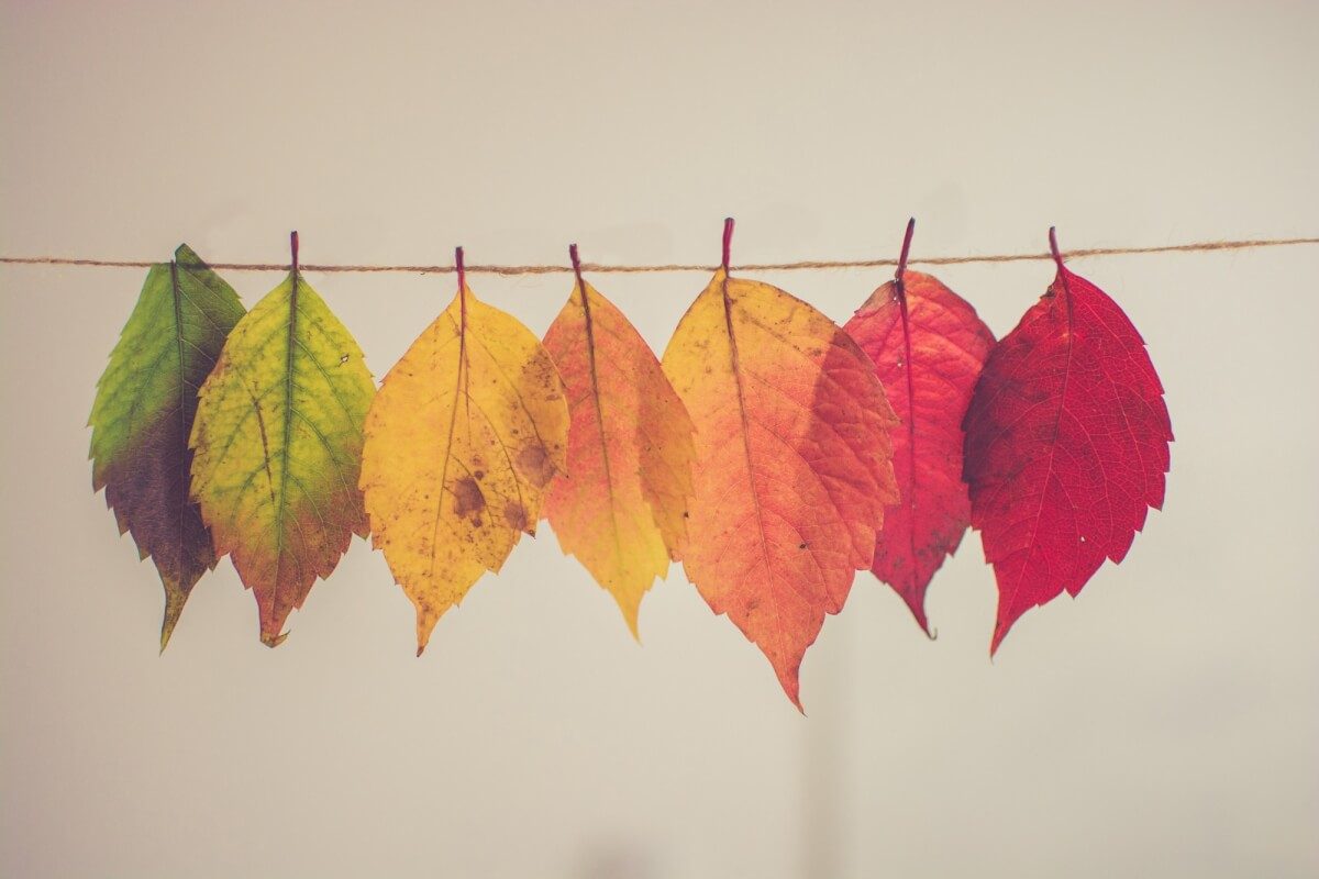 autunno colori e psiche 